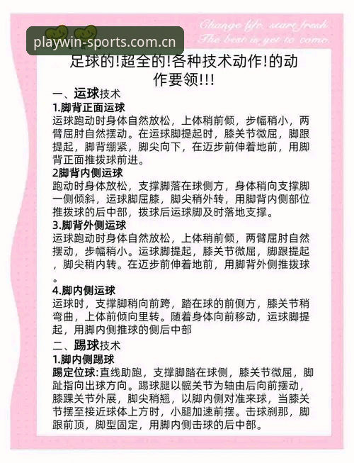 完美体育活动 完美体育活动参与实用指南:从入门到精通的必备知识